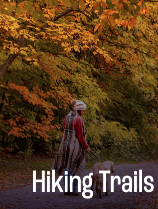 iScreen Shoter - Google Chrome - 250930181921